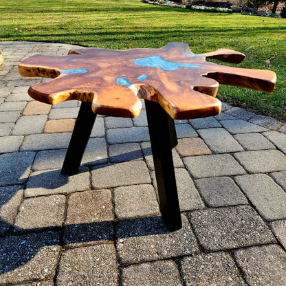 Sold Sample - Star Live Edge Teak Root Table Top w/ Venice Blue Swirl. Black Powder Coated Legs.