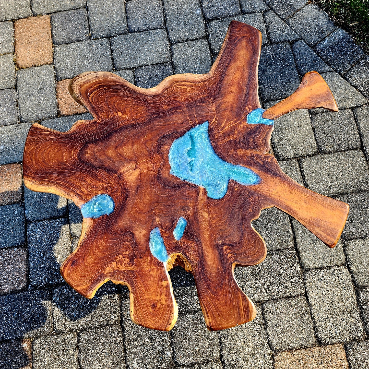 Sold Sample - Star Live Edge Teak Root Table Top w/ Venice Blue Swirl. Black Powder Coated Legs.