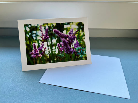 5 x 7 Photo Greeting Card - Astilbe Fields